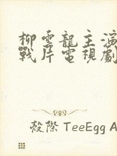 柳云龙主演的谍战片电视剧排行榜