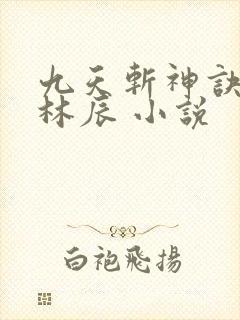 九天斩神诀小说林辰 小说