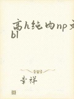 高h纯肉np文bl