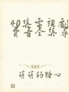 40集电视剧免费看全集寻秦记