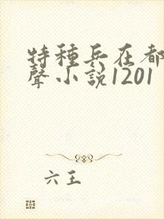 特种兵在都市有声小说1201