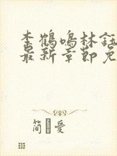 李鹤鸣林钰小说最新章节免费阅读封面