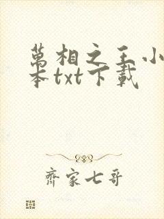 万相之王小说全本txt下载封面