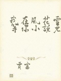 我在风花雪月里等你小说免费阅读