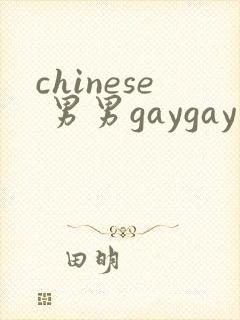 chinese 男男gaygay 网站