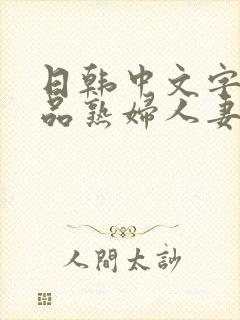 日韩中文字幕精品熟妇人妻