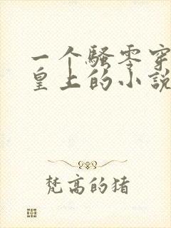 一个骚零穿越成皇上的小说笔趣阁封面