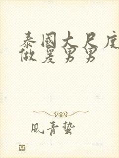 泰国大尺度床戏做爰男男