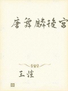 唐舞麟后宫小说封面