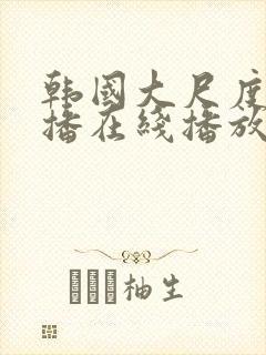 韩国大尺度女主播在线播放