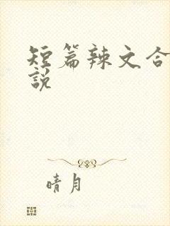 短篇辣文合集小说封面