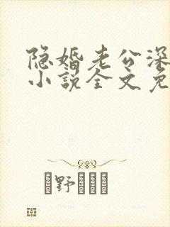 隐婚老公深夜来小说全文免费阅读