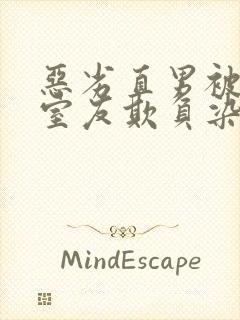 恶劣直男被高冷室友欺负染琪小说封面