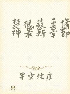 楚枫苏柔修罗武神最新章节笔趣阁