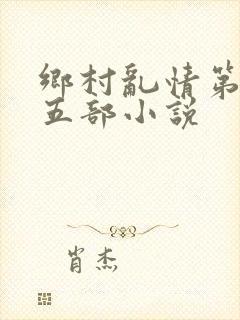 乡村乱情第二十五部小说封面