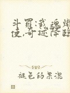 斗罗:武魂炽天使,奇迹降临封面