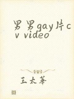 男男gay片cⅴvideo