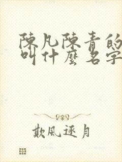 陈凡陈青的小说叫什么名字