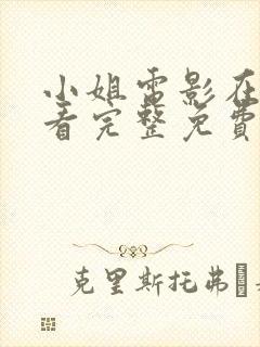 小姐电影在线观看完整免费高清封面