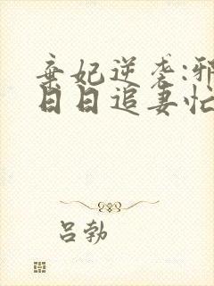 弃妃逆袭:邪王日日追妻忙小说阅读