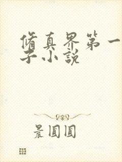 修真界第一病秧子小说封面