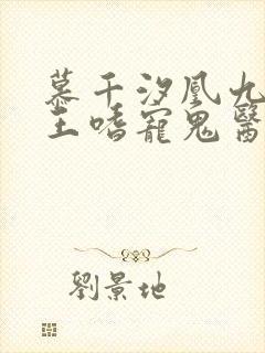 慕千汐凰九夜邪王嗜宠鬼医狂妃