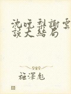 沈晚梨谢云迟小说大结局封面