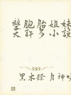 双胞胎姐妹乐翻天许多小说说免费封面