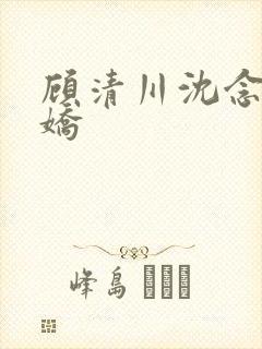 顾清川沈念李娇娇封面