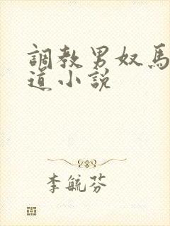 调教男奴马眼尿道小说