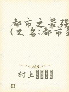 都市之最强狂兵(又名:都市狂枭) 在线小说