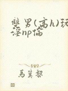 双男(高h)玩淫np伦封面