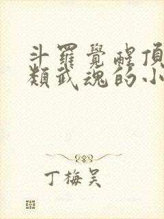 斗罗觉醒顶级剑类武魂的小说