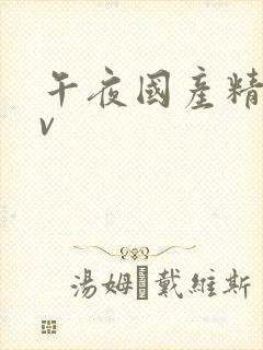 午夜国产精品av封面