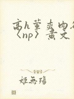 高h荤爽肉欲文〈np〉黄文封面