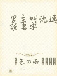 男主叫沈逸的小说名字