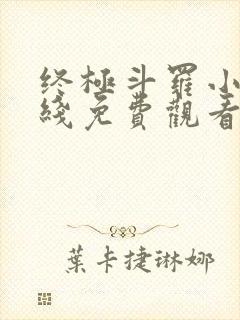 终极斗罗小说在线免费观看