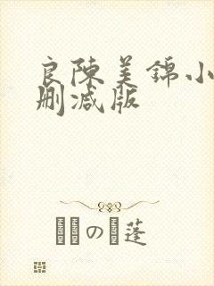 良陈美锦小说未删减版封面