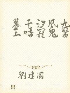 慕千汐凰九夜邪王嗜宠鬼医狂妃无弹窗