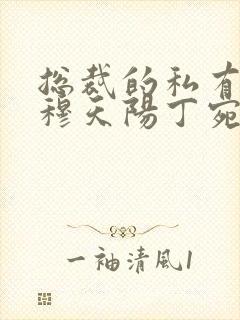 总裁的私有宝贝穆天阳丁宛情全本免费阅读封面