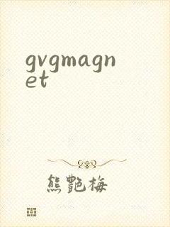 gvgmagnet