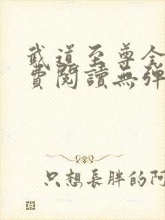 武道至尊全文免费阅读无弹窗