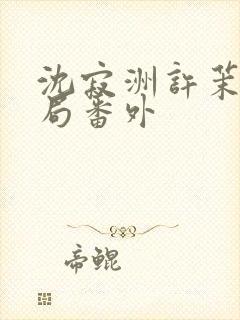 沈寂洲许茉大结局番外