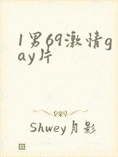 1男69激情gay片