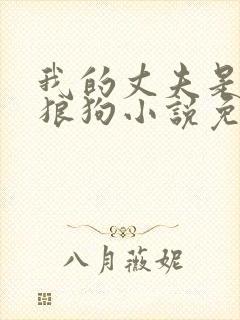 我的丈夫是只大狼狗小说免费阅读封面