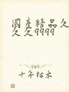 国产精品久久久久久9999封面