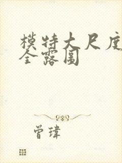 模特大尺度三点全露图封面