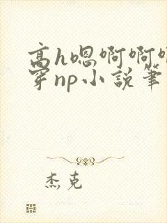 高h嗯啊啊啊快穿np小说笔趣阁