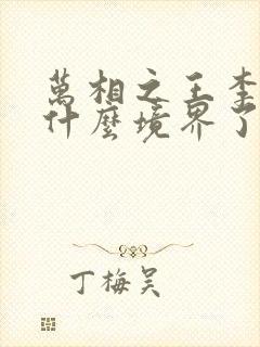 万相之王李洛到什么境界了