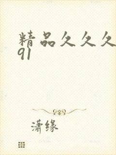 精品久久久久久91